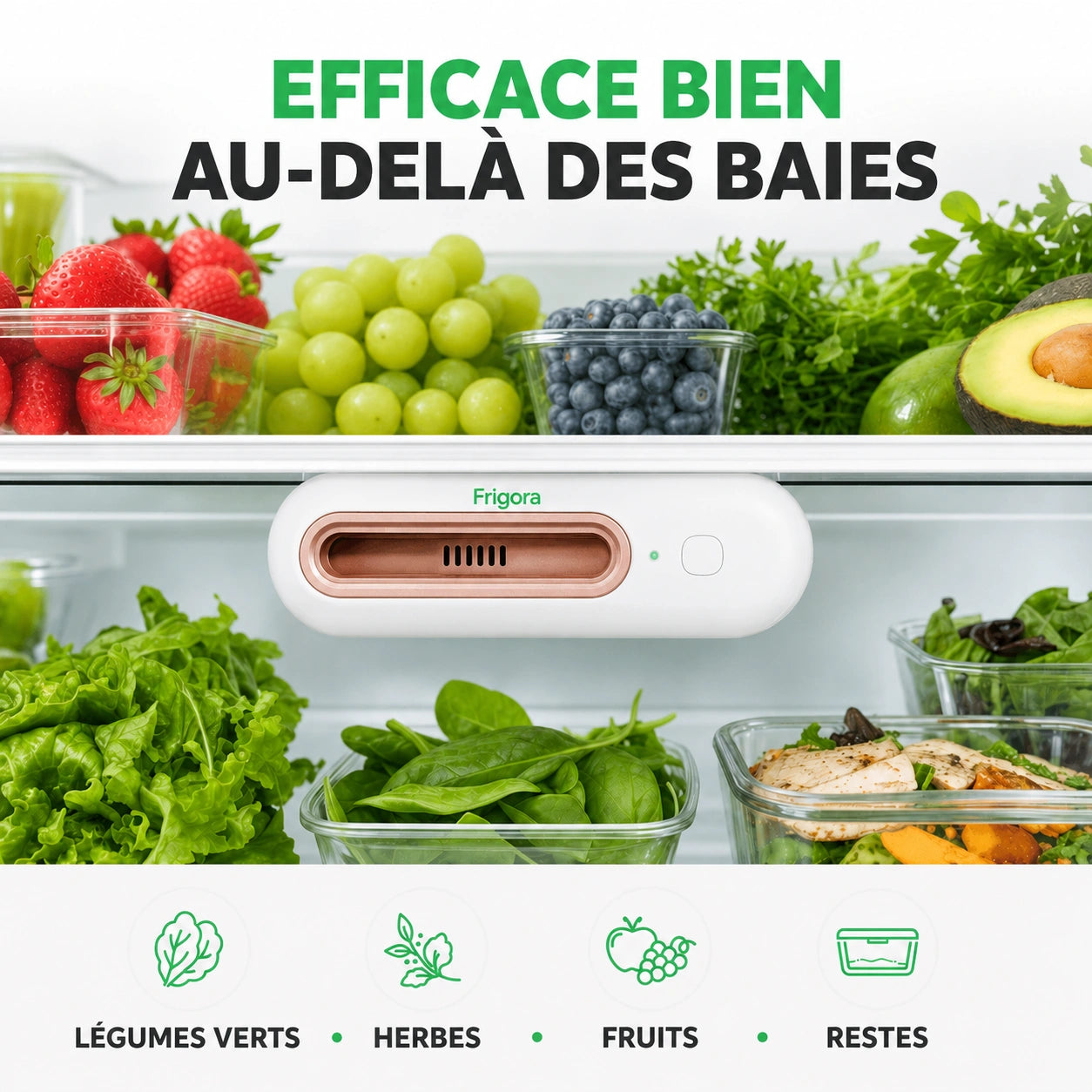 Frigora™ – Gardez vos aliments frais 4x plus longtemps