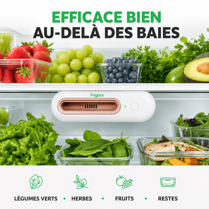 Frigora™ – Gardez vos aliments frais 4x plus longtemps