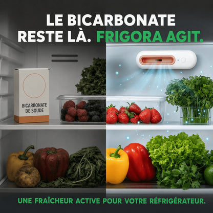 Frigora™ – Gardez vos aliments frais 4x plus longtemps