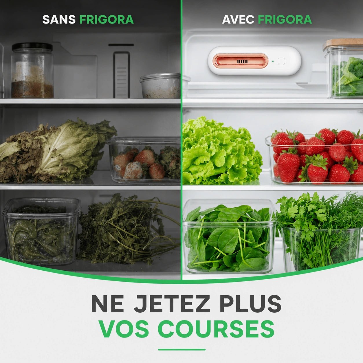 Frigora™ – Gardez vos aliments frais 4x plus longtemps