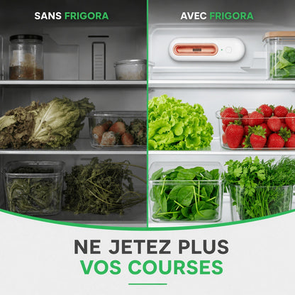 Frigora™ – Gardez vos aliments frais 4x plus longtemps
