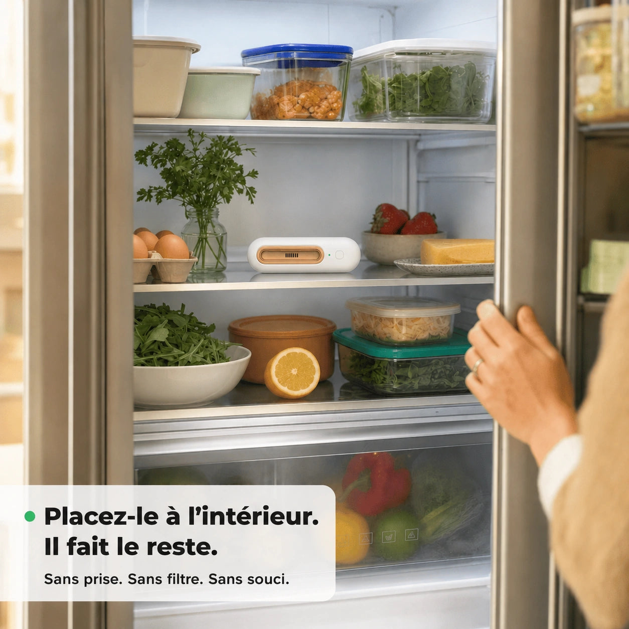 Frigora™ – Gardez vos aliments frais 4x plus longtemps